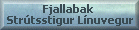 Tour 2002 - Vom Vatnajökull über Langisjór, Strútsstígur, Landmannaleið und Línuvegur zum Geysir